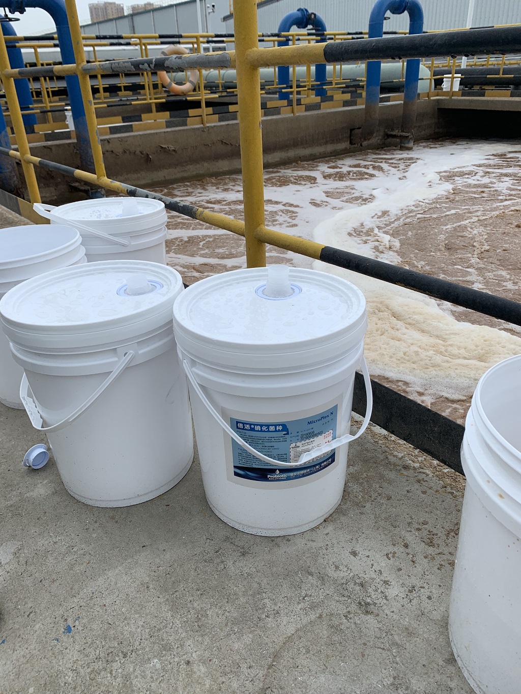 1564107567983888.jpg 1564107567983888.jpg