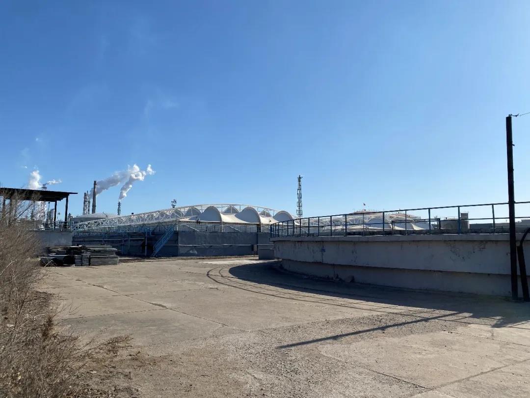 普羅生物 普羅生物