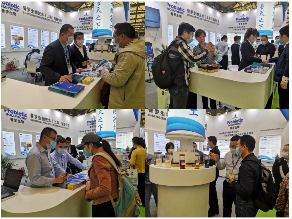 普羅生物 普羅生物