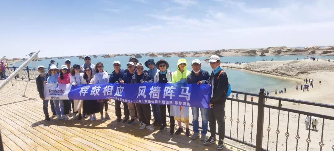 普羅生物團建 普羅生物團建