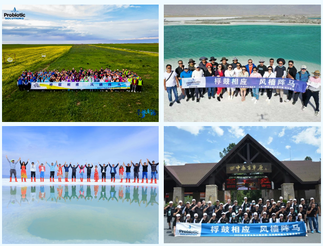 1693560766296961.png 1693560766296961.png