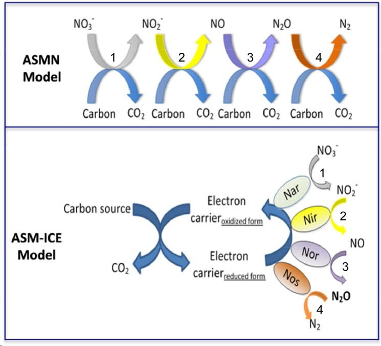 1695800762436096.png 傳統(tǒng)反硝化菌理論四步電子理論差異.png