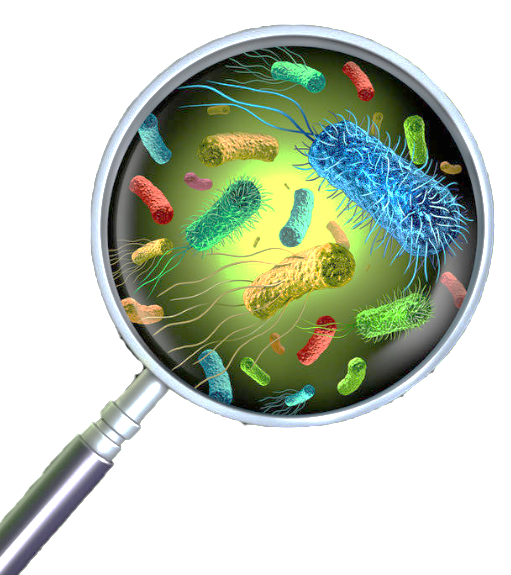 1697190789937788.png 低溫微生物1.png