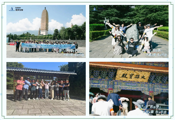 1702005603515623.png image.png