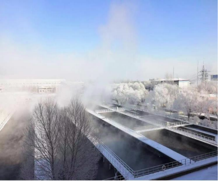 1737450030102941.png 22.png